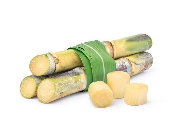 Sugarcane 500gm
