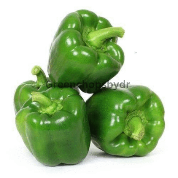 CapsicumShimla-Mirch- 250gm