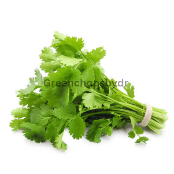 Coriander(Dhaniya) Bunch