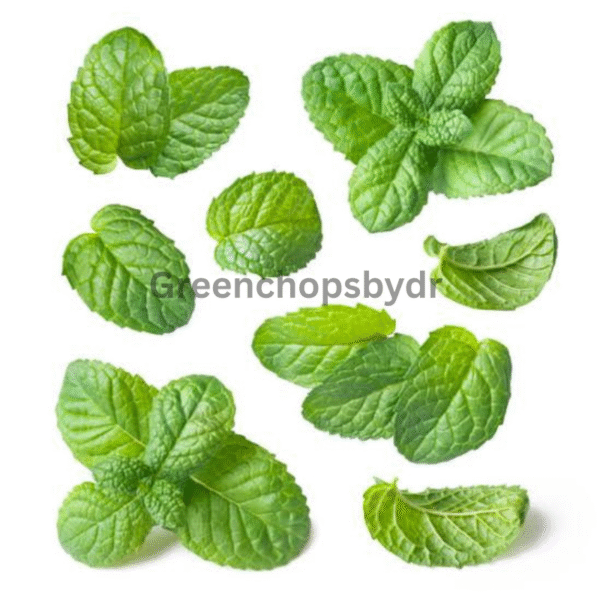 Mint Leaves(Podina)- Bunch