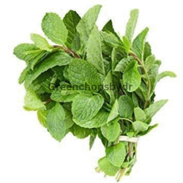 Mint(Podina)- Bunch
