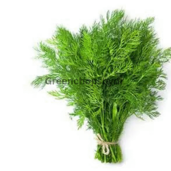 Soya-Bunch-