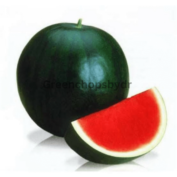 Water Melon- 1pc